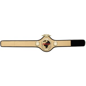 GOLD PRO288 CUSTOM CHAMPIONSHIP BELT  ***BEST SELLER***